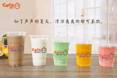 CoCo�̲趼�ɲ�������������ʲô