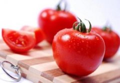 Ӫ����ʳ��ȫ�������ɫ�߹���Ӫ������