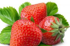 ���������׷������Ƽ�10��ʳ�������ֲ���