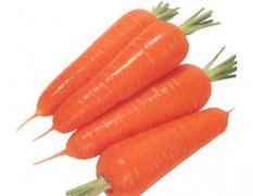 Ů����ȱѪ�ճ������5���߲��Ѫ