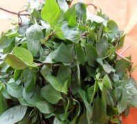 �Ų�����ʲô�ˣ��ԾŲ����ĺô��ͼ��ֳԷ�����