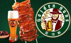 ��˹С������ϵͳ��ô�� ��˹С��������������