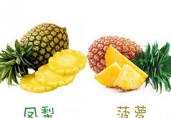 ����Ͳ��ܵ����𣺷���Ͳ���6�㲻֮ͬ��