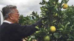 ��ʱ������ ��������������Ӫ������Щ����