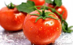 ʮ�󽡿�ʳ��������а��ϵ�ʮ�󽡿�ʳ���̵�