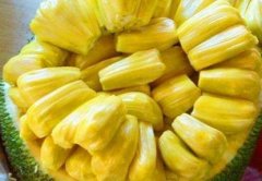 �����۵�Ӫ����ֵ����Щ�˲��ܳԲ����ۣ�