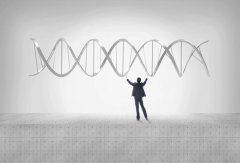 ��������֪ʶ����Щ ����ϵͳ��ô�շ�