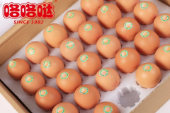 ���������ռ����绰