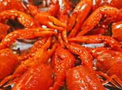 �����Ϻ��ô��,���Լ���ô