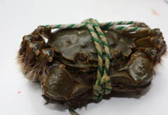 �̳Ǻ���բз�۸�,ʳ�ô�բзע������