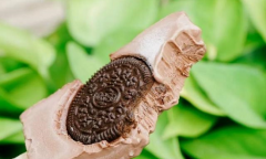 2018�Ƚϻ�ı����