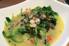 �°�¹��ֱӪ���Ǽ���