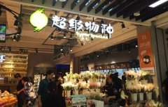 ���������˾����Ѷ���