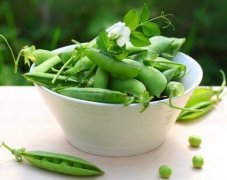 �ϰ��廤�۶���㶹 ���ⲻ��Զ�