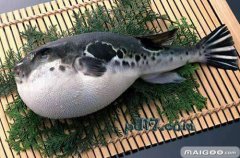 ʲô������ó� ��óԵĺ��� ʮ����óԵĺ����̵�