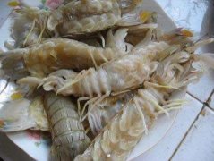 ƤƤϺ����ã�ƤƤϺ��������ʱ��