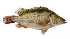 Ұ���������Ǯһ�������ô���ó�