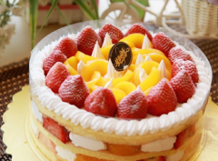 ��ɯ������Լ�����