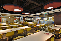 �ʺ������˵Ĵ�ҵ��Ŀ����Щ