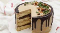 ����԰���������ô��,Ʒ�Ƽ���������ʲô