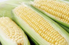 �ϰ������۹�����ô�� ��ô�����۾���Ӫ����