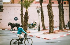 ��չ������ҵ�� ӡ�Ȱ����Ŷ���ϵͳSwiggyʤ�����