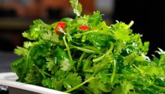 �����ô�ԣ��Ƽ�ʮ����˳Է���Ӫ������Ч��