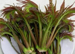 5��ʳ�ﳴǰ��ˮ����Ӫ��