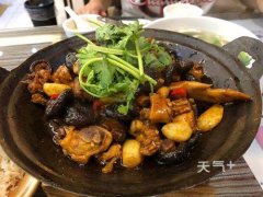 ��ɽ������������Щ ��ɽ�������Ĳ�������