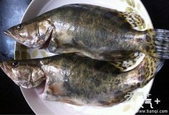 ����Ĳ�ͬ��Ӫ����ֵ�ͳԷ���������