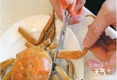 ���κ���բз�ĳԷ�ʮ���裡����