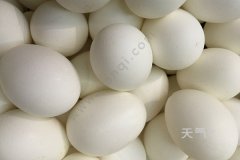 �쵰��ô����Ӫ�� �쵰��ô��