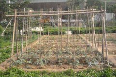 �ƹ�����ô����� ���׻ƹϼ���ô��