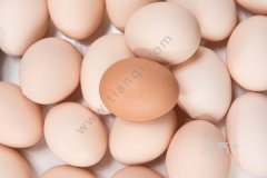 ������ż������� ������δ��