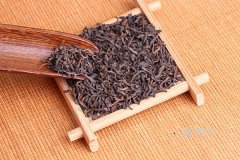 �ն���ŷ��� �ն���ô����