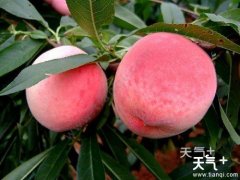 ������óԵ�С�� ������ɴ����ļ���С��