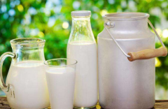 ��һ��ţ������վǰ�����