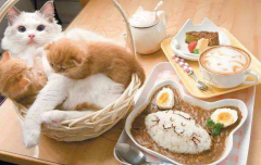 �������ȹ�����Ǯ��