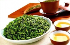 ���˲�Ҷ������ЩƷ�� ��Ҷ��þ�Ӫ��