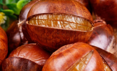 �����˸ɹ�����ô����