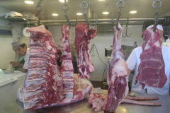 ��������ţ������ô��