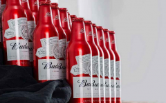 ����ơ�ƴ�����������