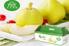 �����԰���˶���Ǯ