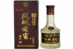 ����Ͻ� ������ĸ���