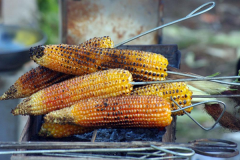 ��̯�������׾�Ӫ��ô��