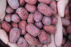 ����ͺ�������ĸ���