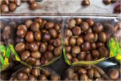 ������Ч����ô�� ��μ���