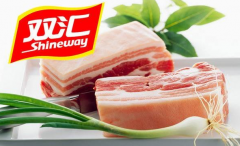 ��������˫��������