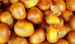 �ֳ�����������ô��