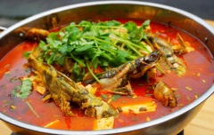 ������������˷Ѷ���